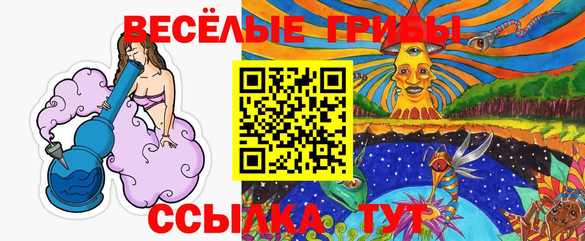 где купить наркотик  Псилоцибиновые грибы Magic Shrooms  Апатиты  Вход с VPN  Галлюциногенные грибы мухоморы 